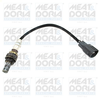Oxygen Sensor